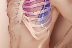 PLEURAL DRAINAGE